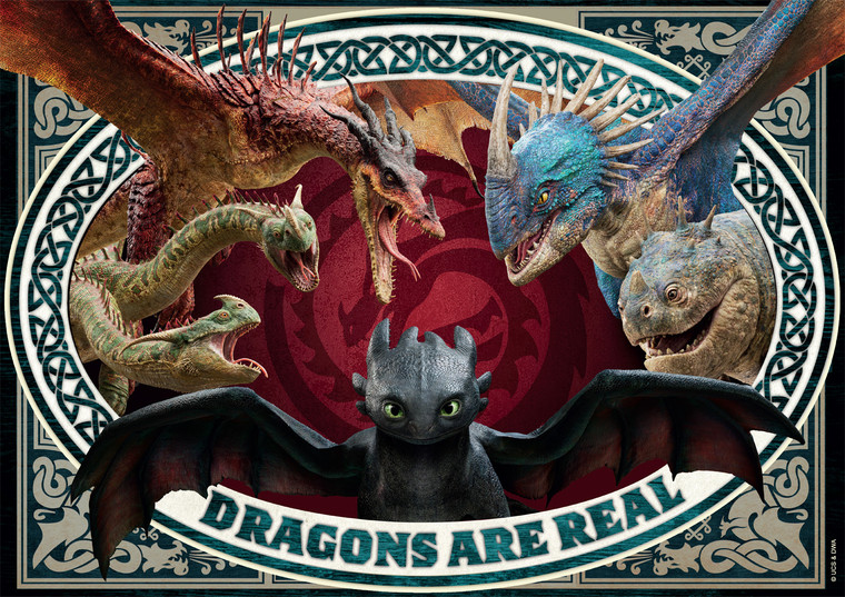 How To Train Your Dragon: Dragons Are Real 300 Large Piece Puzzle